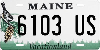 ME license plate 6103US