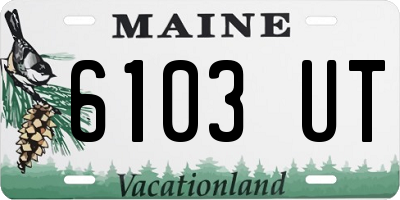 ME license plate 6103UT