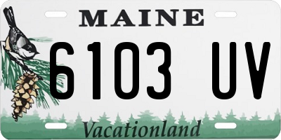 ME license plate 6103UV
