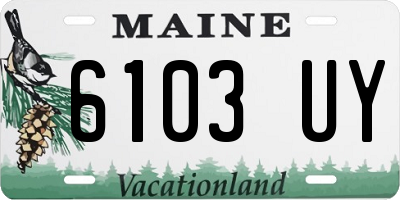 ME license plate 6103UY