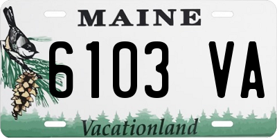 ME license plate 6103VA
