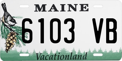 ME license plate 6103VB
