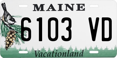 ME license plate 6103VD