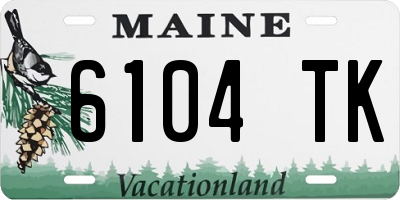 ME license plate 6104TK