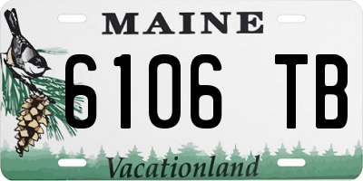 ME license plate 6106TB
