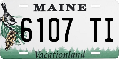 ME license plate 6107TI