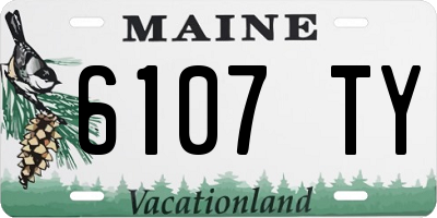 ME license plate 6107TY