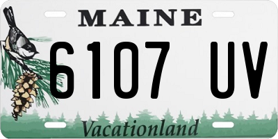 ME license plate 6107UV
