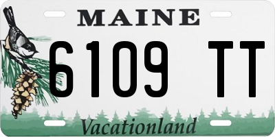 ME license plate 6109TT