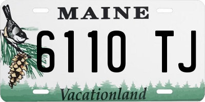 ME license plate 6110TJ