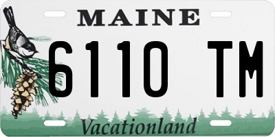 ME license plate 6110TM