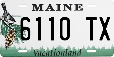 ME license plate 6110TX
