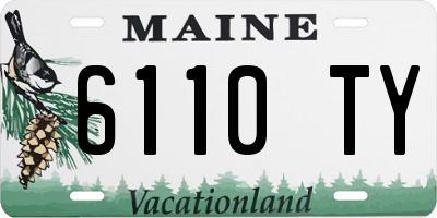 ME license plate 6110TY
