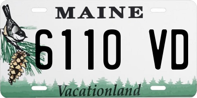 ME license plate 6110VD