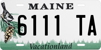 ME license plate 6111TA