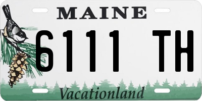 ME license plate 6111TH