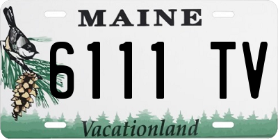 ME license plate 6111TV