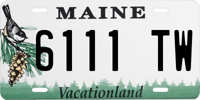 ME license plate 6111TW