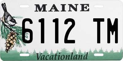 ME license plate 6112TM
