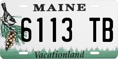 ME license plate 6113TB