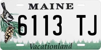 ME license plate 6113TJ