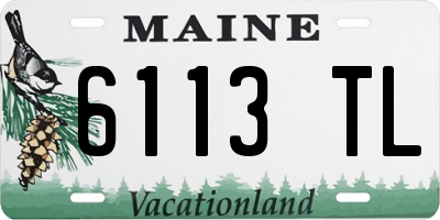 ME license plate 6113TL