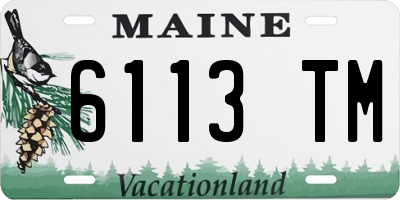 ME license plate 6113TM