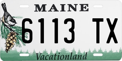 ME license plate 6113TX