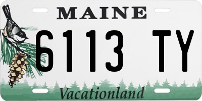 ME license plate 6113TY