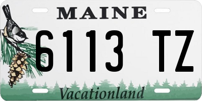 ME license plate 6113TZ