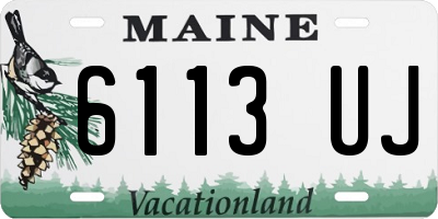 ME license plate 6113UJ