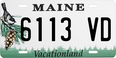 ME license plate 6113VD