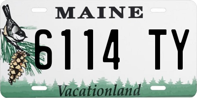 ME license plate 6114TY