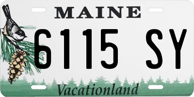 ME license plate 6115SY