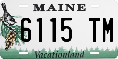 ME license plate 6115TM
