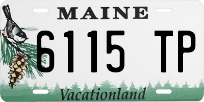ME license plate 6115TP