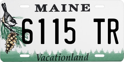ME license plate 6115TR