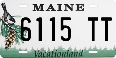 ME license plate 6115TT