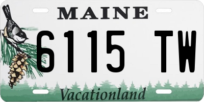 ME license plate 6115TW