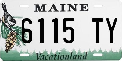 ME license plate 6115TY