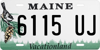 ME license plate 6115UJ
