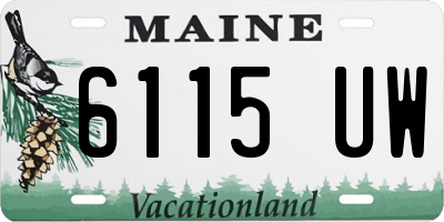 ME license plate 6115UW
