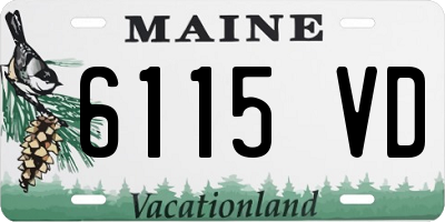 ME license plate 6115VD