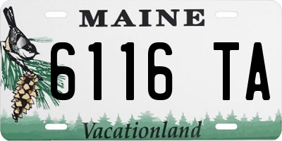 ME license plate 6116TA