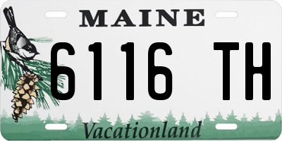ME license plate 6116TH