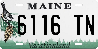 ME license plate 6116TN