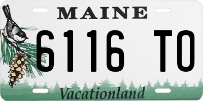 ME license plate 6116TO
