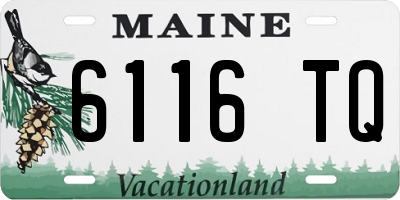 ME license plate 6116TQ