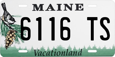 ME license plate 6116TS
