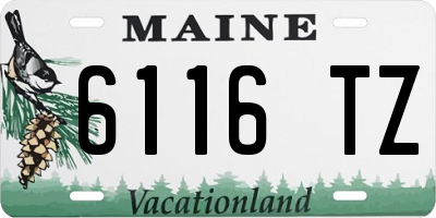 ME license plate 6116TZ